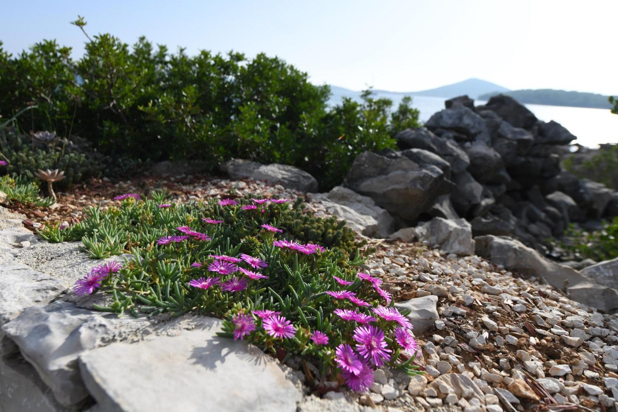 Beach House Marina Grande เบทินา ภายนอก รูปภาพ